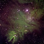 NGC2264